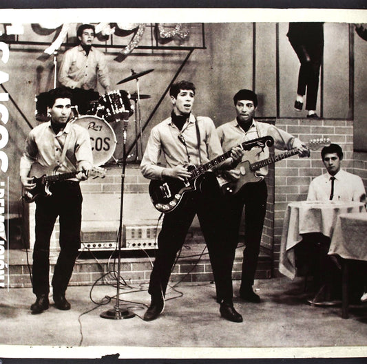 LOS SAICOS / DEMOLICION, THE COMPLETE RECORDINGS LP