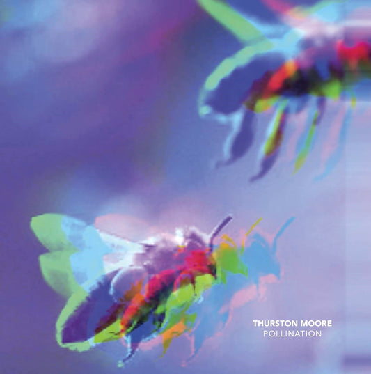 THURSTON MOORE / POLLINATION/LEAVE ME ALONE 7"